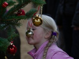 IMG_1317_web